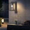 Outdoor Wall Light/ Path Light