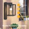 Outdoor Wall Light/ Path Light