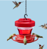 Hummingbird Feeder 16 oz - Plastic Hummingbird Feeders for Outdoors with Built-in Ant Guard - Circular Perch with 8 Feeding Ports/Wide Mouth for Easy